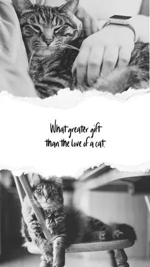 A Black And White Photo Of A Cat Sitting On A Chair Torn Paper Template